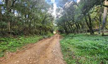 Imagem 1: Terreno na Barragem do Salto em São Francisco de Paula!
