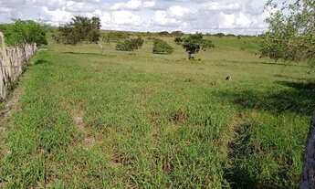 Imagem 6: Vende-se está casa