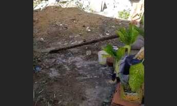 Imagem 3: Vendo ou troco em sítio