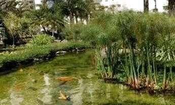 Imagem 4: Resort Tamboré 113m2 Alphaville SP