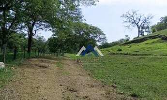 Imagem 6: Sítio à venda, 12,5 Alqueires por R$ 1.750.000 - Centro - Assaí/PR