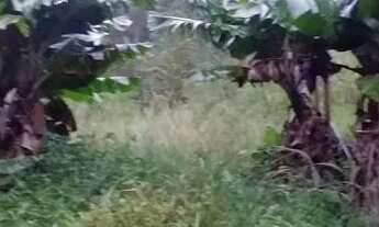 Imagem 3: Chácara área rural