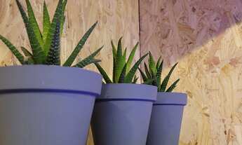 Imagem 6: Loja top novíssima passa ponto em shopping