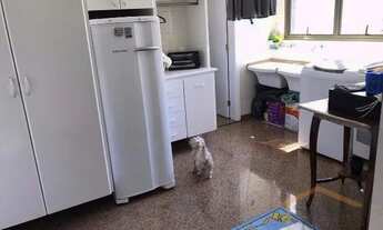 Imagem: SãO PAULO - Apartamento Padrão - Santana