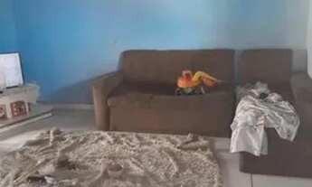 Imagem: VENDO CASA NO TAPANÃ