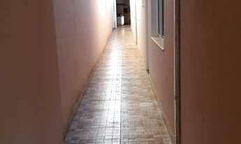 Imagem 5: Cardeal - Elias Fausto - SP