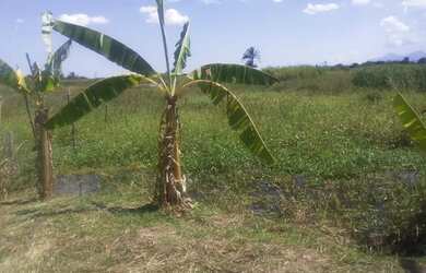 Imagem 5: Terreno ( ler anúncio