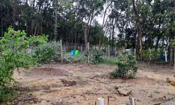 Imagem 6: FLORESTAL - Fazenda - Zona Rural