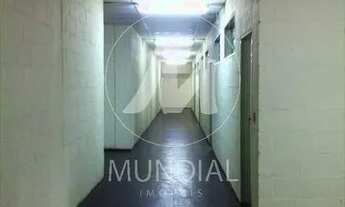 Imagem 4: Salão/Galpão (salão - térreo