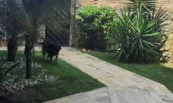 Imagem 4: ! CASA NA ATALAIA - COROA DO MEIO