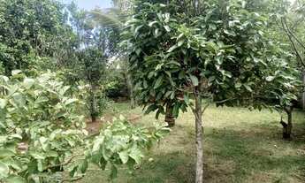 Imagem 6: Vendo casa com 5 quartos