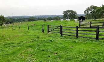 Imagem 7: .. Uma Excelente Fazenda 59 alqueires 42 km do município de Porto Nacional TO