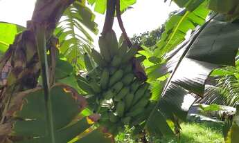 Imagem 6: Casa Casa com 1 dormitório