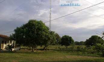 Imagem 2: Fazenda 2.180 hectares Pantanal Alto Região do Mimoso