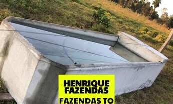 Imagem 3: Fazenda 136 alqueires a 30 km de Araguaina dupla aptidão ...