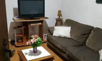 Imagem 4: Granja em Shangrilá em goianà