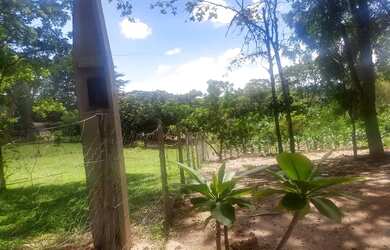 Imagem 3: Chacara ,terreno monte alto