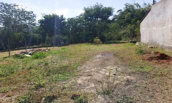 Imagem 6: Chácara terreno muito bonita!