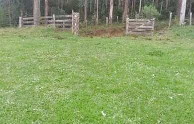 Imagem 5: Chácara em São José dos pinhais, Troca , vende