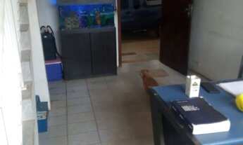 Imagem 7: Galpão ao lado do shopping internacional de Guarulhos