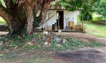 Imagem 5: 1,63 Alqueires em Bela Vista