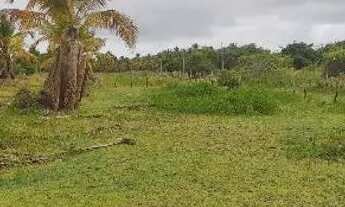 Imagem: Terreno em bonito -piacabucu