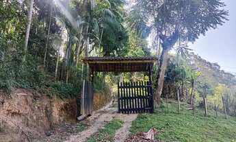 Imagem 7: Chacara plantio próximo ao centro + palmital