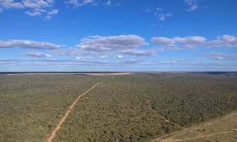 Imagem 3: FAZENDA TODA PLANA EM MAMBAÍ (GO) ? 950 ALQUEIRES