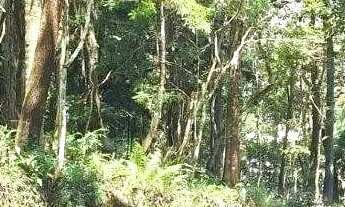 Imagem 3: Terreno à venda Batistini - São Bernardo do Campo - SP