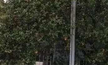 Imagem: Sobrado com 4 dormitórios para alugar no