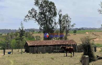 Imagem 3: Sítio com 4 dormitórios à venda, 172062 m² por R$ 2.100.000,00 - Vila Ventura - Ibirá/SP