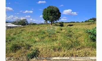 Imagem 5: CHÁCARA À VENDA BUARQUE DE MACEDO