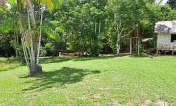 Imagem 2: Sítio 250 x 1.000 na AM 010 km 123 180.001,00