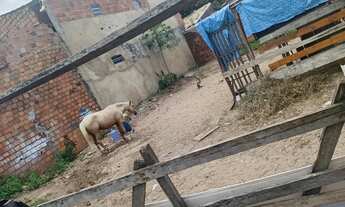 Imagem: Vendo terreno 10x20 na Barra Dos Coqueiros