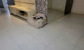 Imagem 2: Um Lugar Imóveis aluga: Apartamento 3 quartos no Ed. Guajará, Reduto, Belém - Pará