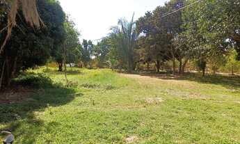 Imagem 5: Chácara na via principal com 6.000 metros quadrado (30x200) na região do Pequize