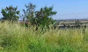 Imagem 2: Lote Senador Canedo