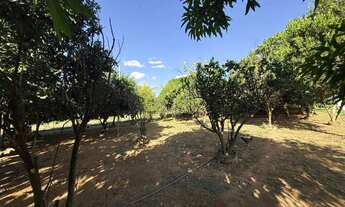 Imagem 6: Chácara - Setor Bela Vista