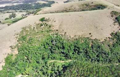 Imagem 3: Belíssima Area próxima a Campos do Jordão