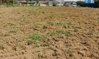 Imagem 7: Terreno à venda, 18431 m² por R$ 5.000.000,00 - Santo Antônio - Louveira/SP