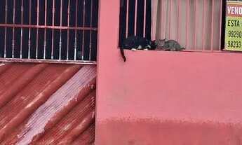 Imagem: Vende se está casa localizada no parque