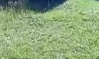 Imagem 4: Lote em Rua Guarani - Centenário - Sapiranga/RS