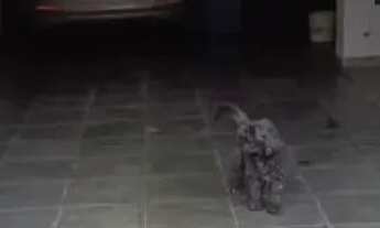 Imagem 5: Casa para Venda em Volta Redonda / RJ no bairro Vila Mury