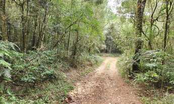 Imagem 3: Chácara com 6,1 alqueires Marmeleiro - Almirante Tamandaré