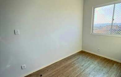 Imagem 7: ágio em samambaia