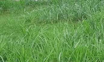 Imagem 7: Terreno no Condomínio Lagoa Parati - Araruama/RJ