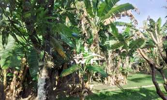 Imagem 4: Chácara com 2 quartos à venda, 1904 m² por R$ 1.200.000 - Colônia do Piaguí - Guaratinguet