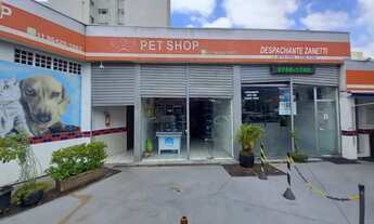 Imagem 2: LOJA - VILA LAGEADO - SP