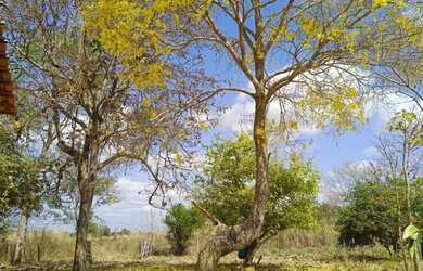 Imagem 2: Fazenda super barata no Maranhão