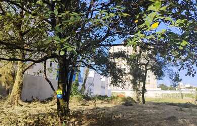 Imagem 2: TERRENO JD COLONIAL ABERTO